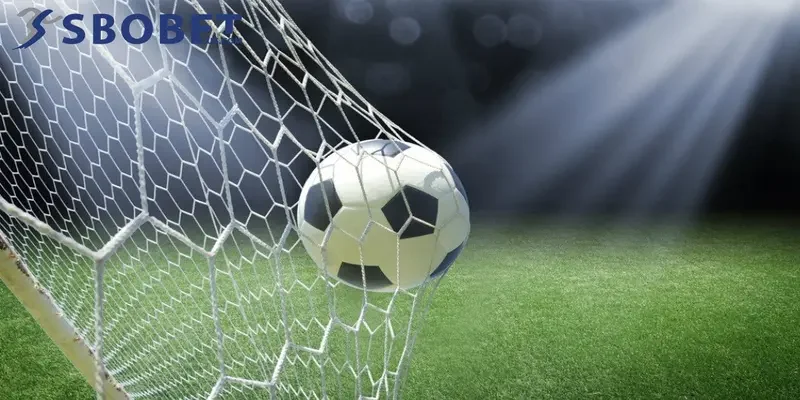 Kèo rung - Tổng hợp kinh nghiệm đặt tiền cược hiệu quả 7 kèo rung