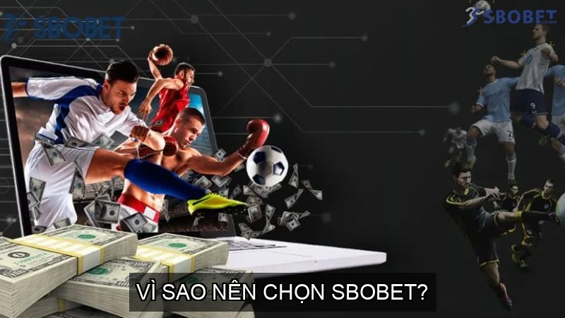 SBOBET - Nhà Cái Cá Cược Thể Thao Kèo Châu Á - Phiên Bản Di Động SBOBET 31 Vì sao nên chọn SBOBET?