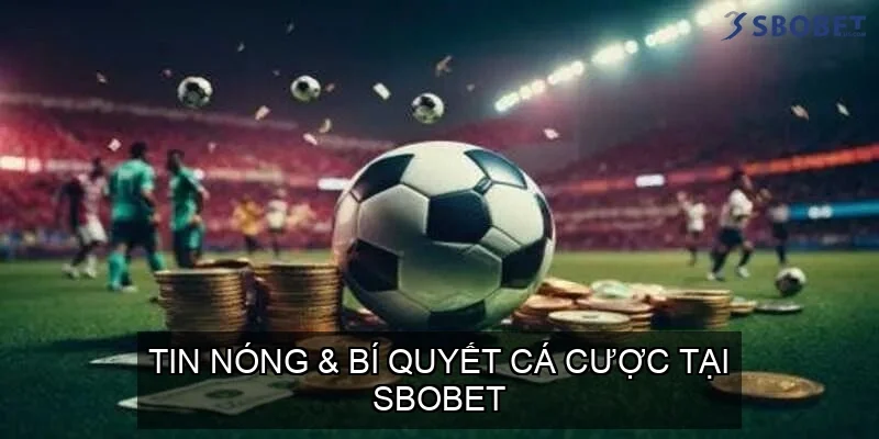 SBOBET - Nhà Cái Cá Cược Thể Thao Kèo Châu Á - Phiên Bản Di Động SBOBET 32 Tin nóng & bí quyết cá cược tại SBOBET